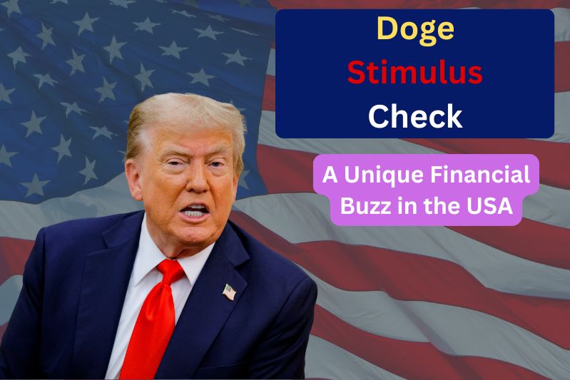 Doge Stimulus Check